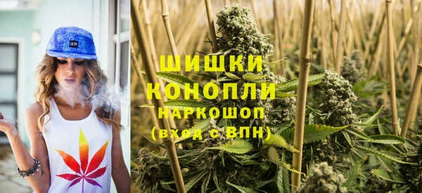 прущие крисы Козловка