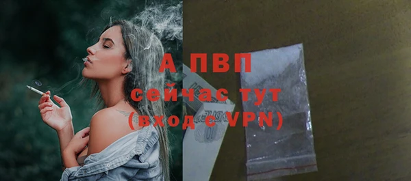 прущие крисы Козловка