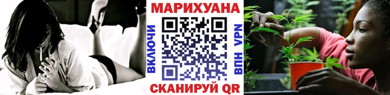 Купить закладки  Нолинск  Конопля AK-47 